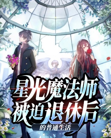 星光魔法师被迫退休后的普通生活