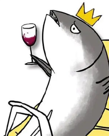 躺平的我被迫学习魔法