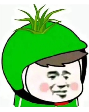 我真的是大冤种