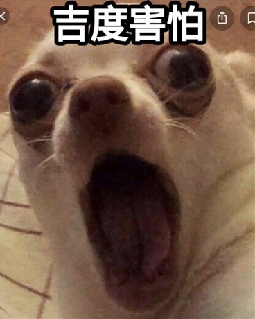 另一個世界的我居然是綠茶？