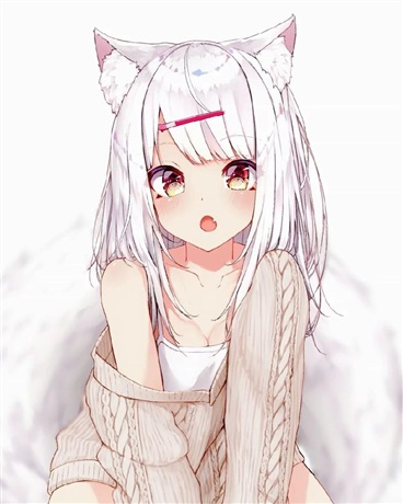 我的无敌小猫娘