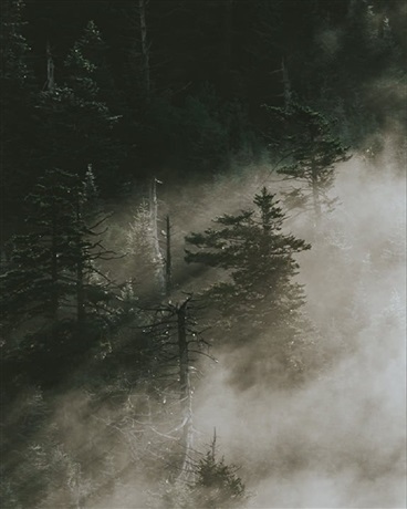 灰色的终末幻想