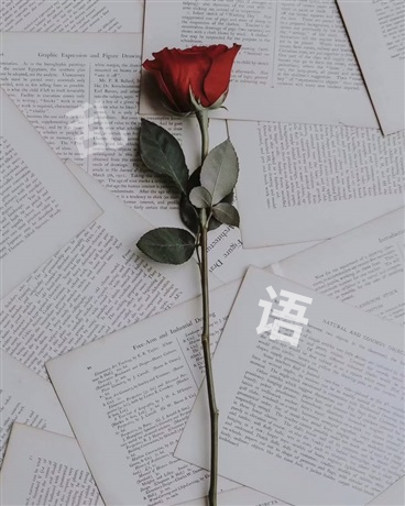 乱语：纷落的残页