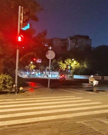 紫色风信子代表我们的友情