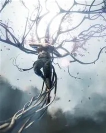 博士，你将饱含诗意