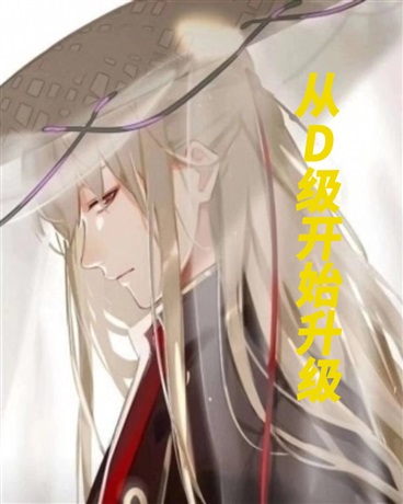 从D级开始升级