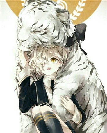 长不大的孩子与老虎的异世之游