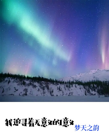 我追寻着无意义的意义