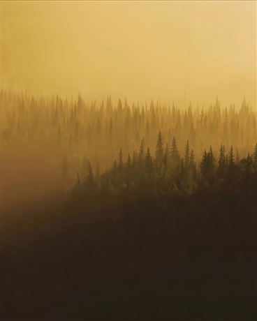 爱，死亡和生存