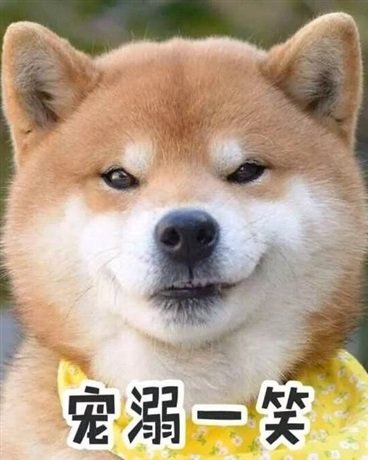 我将顶替我自己