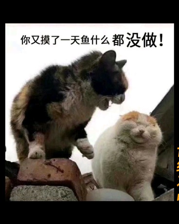 世纪之战