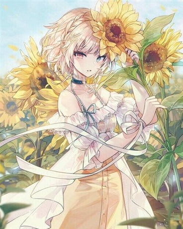 关于我们寝室奇奇怪怪的秘密