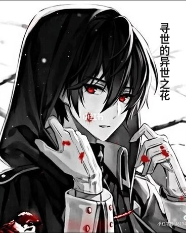 寻世的异世之花