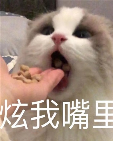 和上司恋爱中：abo