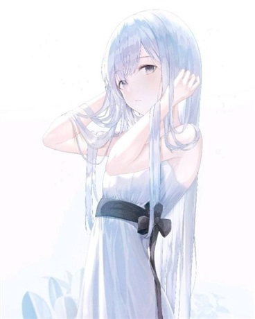 来自双生的崩坏征程