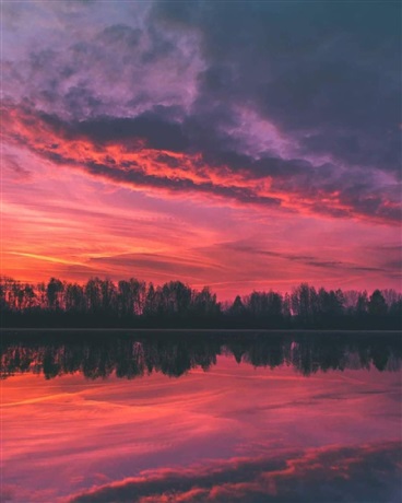 守護任務之tnt狼孩兒的初戀