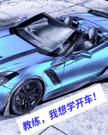 关于我是车队经理的那年那些事