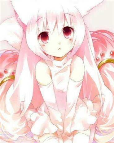 猫小姐不在哭泣