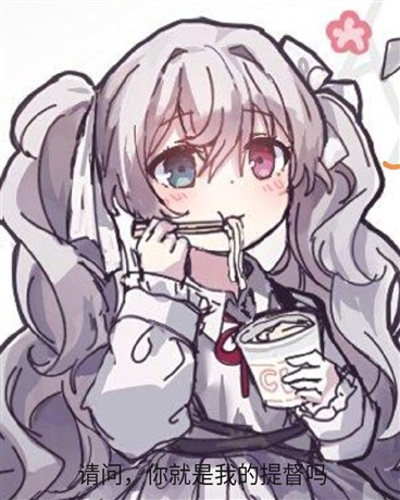 请问，你就是我的提督吗