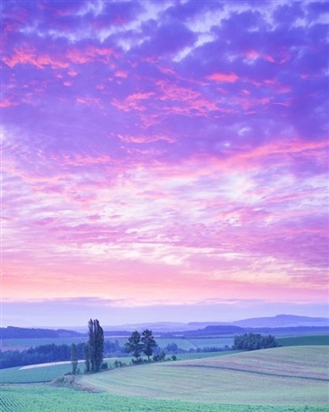 绝望的她与希望的她