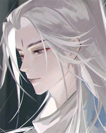 魔尊消失的那些年