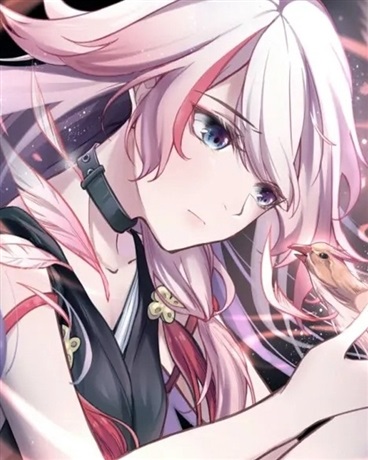 崩坏三时轮之鹰