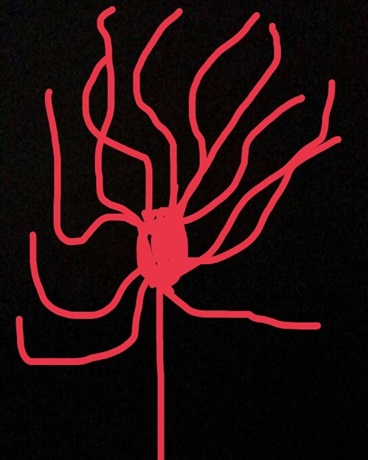 这个人怎么不放技能呀