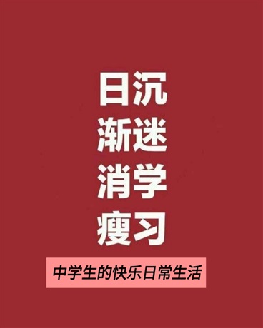 中学生的快乐日常生活