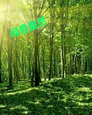 关于我一下被雷劈死这件事