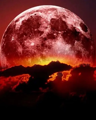 长夜寻光