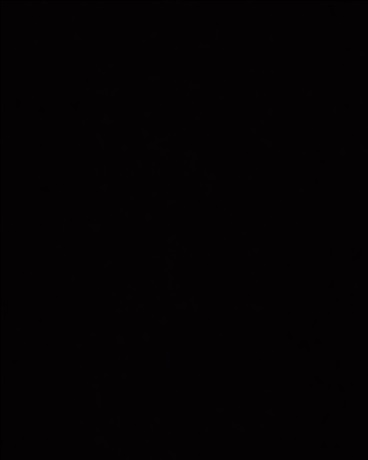 没有丝袜的异世界我不能接受