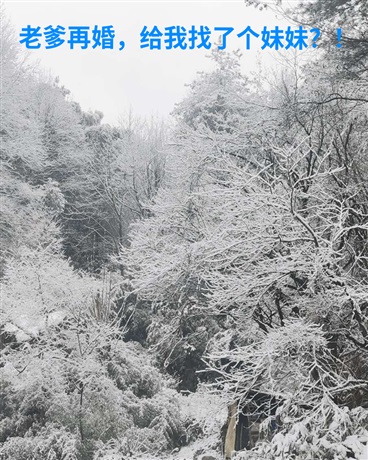 一个日常的故事