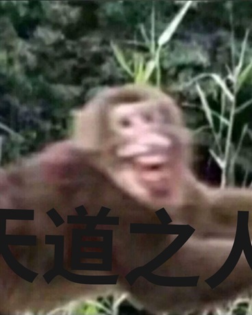 天道之人
