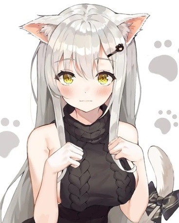 魔女与教廷禁卫