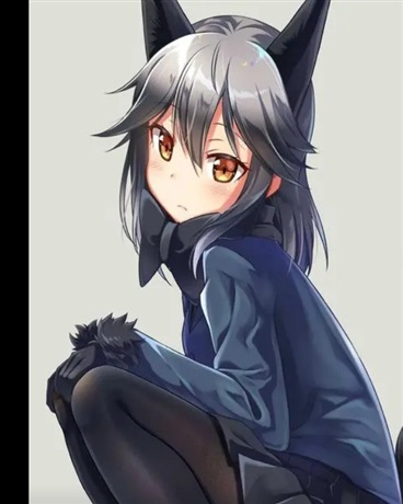 关于一条狗穿越到崩坏