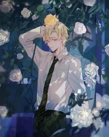 玫瑰的涵义，是你我的唯一