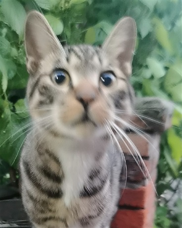 望向深渊的魔女