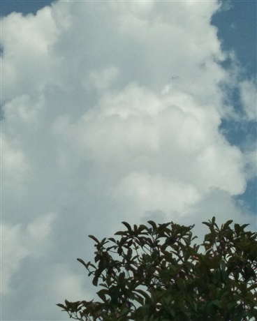 我和二堂姐吃了我三堂姐的狗粮