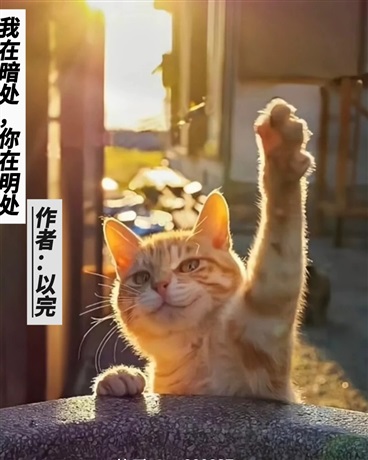 我在暗处，你在明处