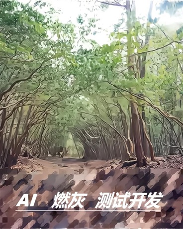 AI燃灰测试开发