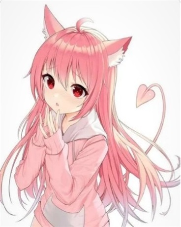 变成猫娘和室友的综漫之旅