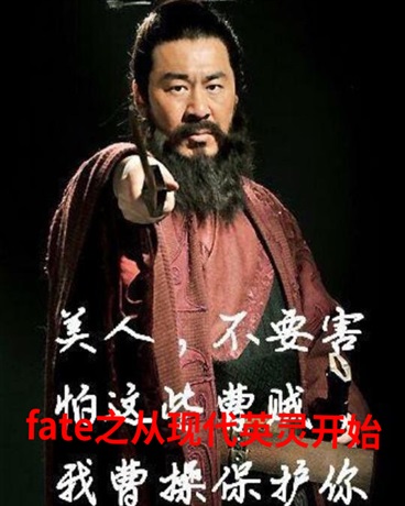 fate之现代英灵