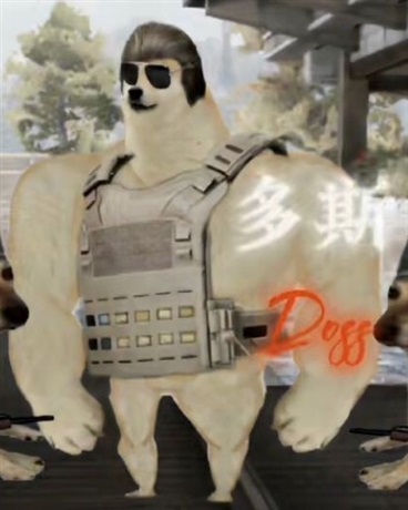 24岁是特遣队员