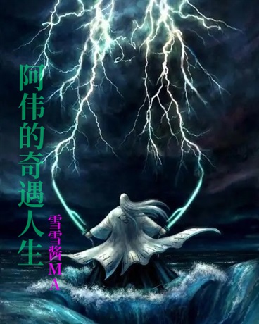 阿伟的奇遇人生