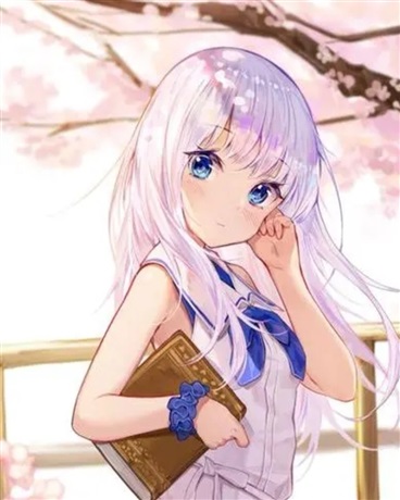 在成为圣女的路上顺便做了侦探