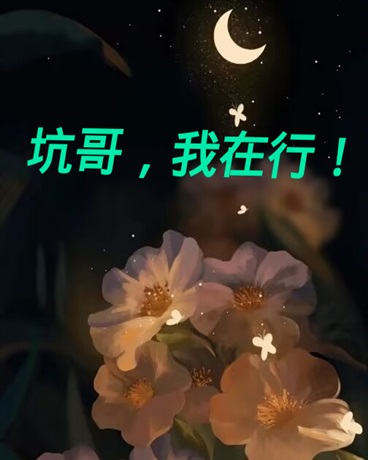 坑哥，我在行！