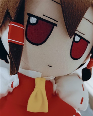 禁止巫女暴力执法