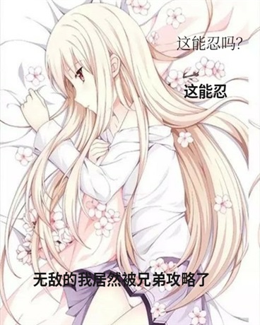 无敌的我居然被兄弟攻略了