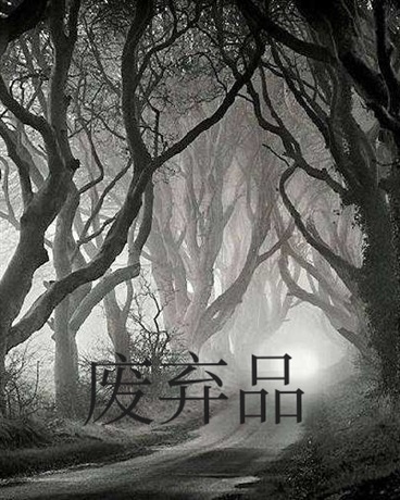 废弃品
