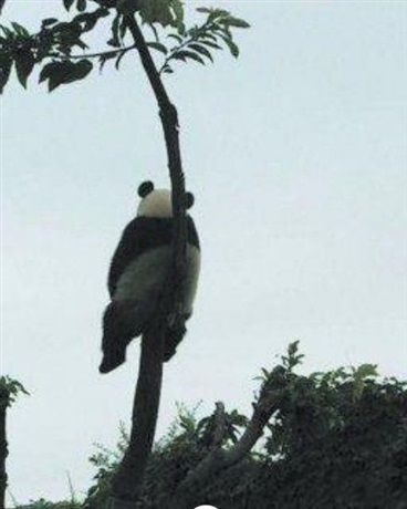 一个有些奇怪的故事